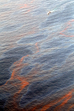 صورة من الجو تظهر تمدد البقعة النفطية التي تقترب من سواحل لويزيانا (كريس غلايثن ــ أ ف ب)