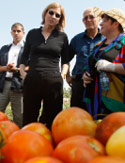 ليفني خلال زيارتها حقل للطماطم قرب تل أبيب أمس (غل كوهين ماغين - رويترز)