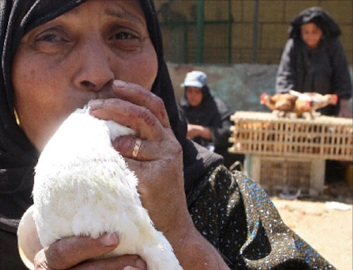 مصرية تطعم طيراً في أحد أسواق القاهرة (خالد دسوقي ــ أ ف ب)
