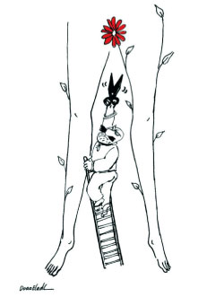 كاريكاتور ختان الإناث