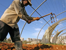 مزارع يحرث أرضه داخل خيمة زراعية في منطقة الشويفات (بلال جاويش)